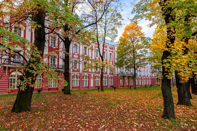 Хочу учиться в Петербурге, 5 дней