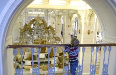 Экскурсия в Зоологический музей