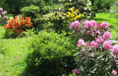 Экскурсия с посещением ботанического сада