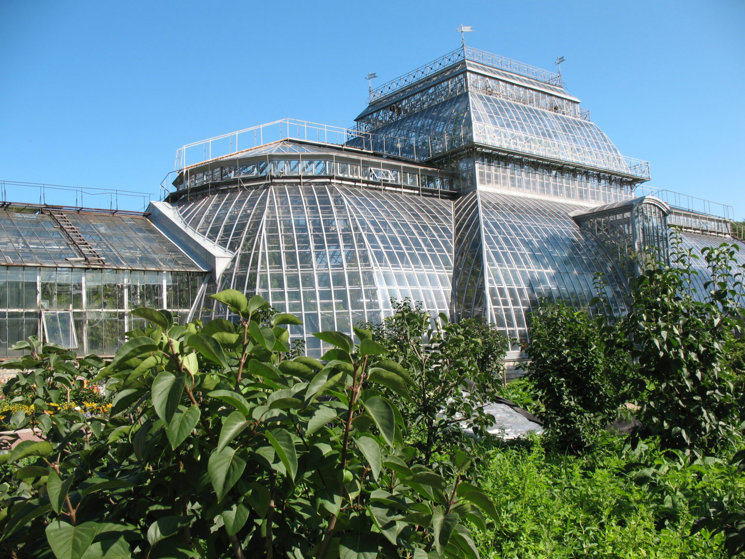 Экскурсия для школьников в Ботанический сад — «Растительный мир Санкт-Петербурга»