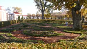 Экскурсия в Петергоф с посещением Большого дворца