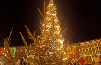 Встреча нового 2026 года в гостинице Васильевский 4*