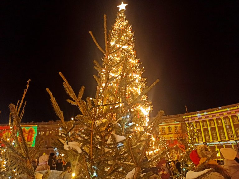 Встреча нового 2026 года в гостинице Васильевский 4*